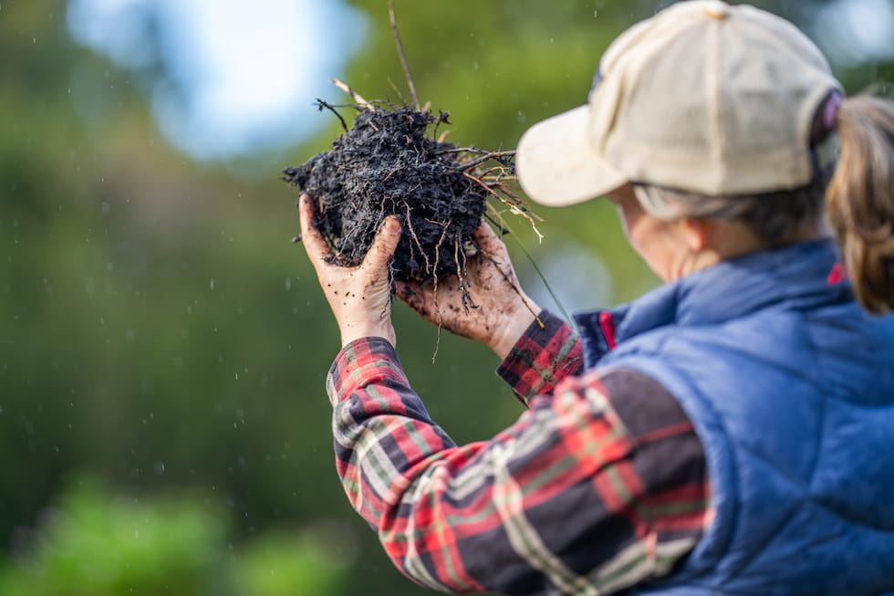 Compliance and Accreditation